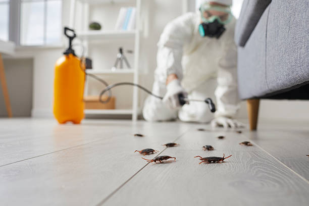 Commercial Kitchen Cockroach Control in Hershey